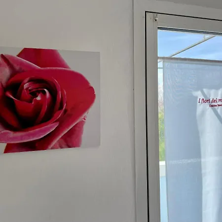 Morri - Nuova Gestione Riccione
